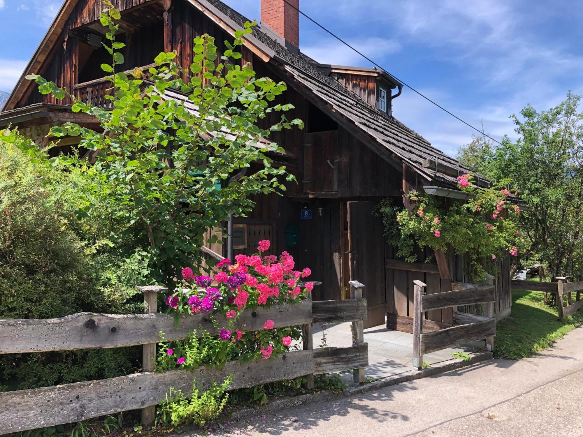 Chalet Ramsau 8 Bad Goisern Ngoại thất bức ảnh