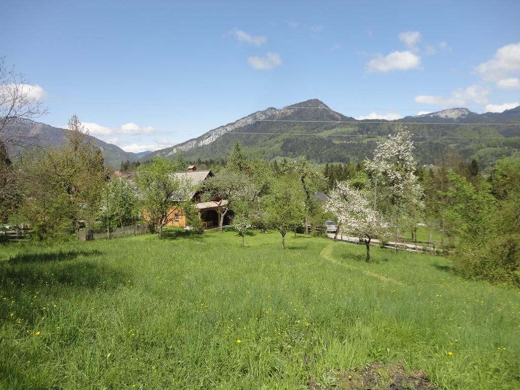 Chalet Ramsau 8 Bad Goisern Ngoại thất bức ảnh