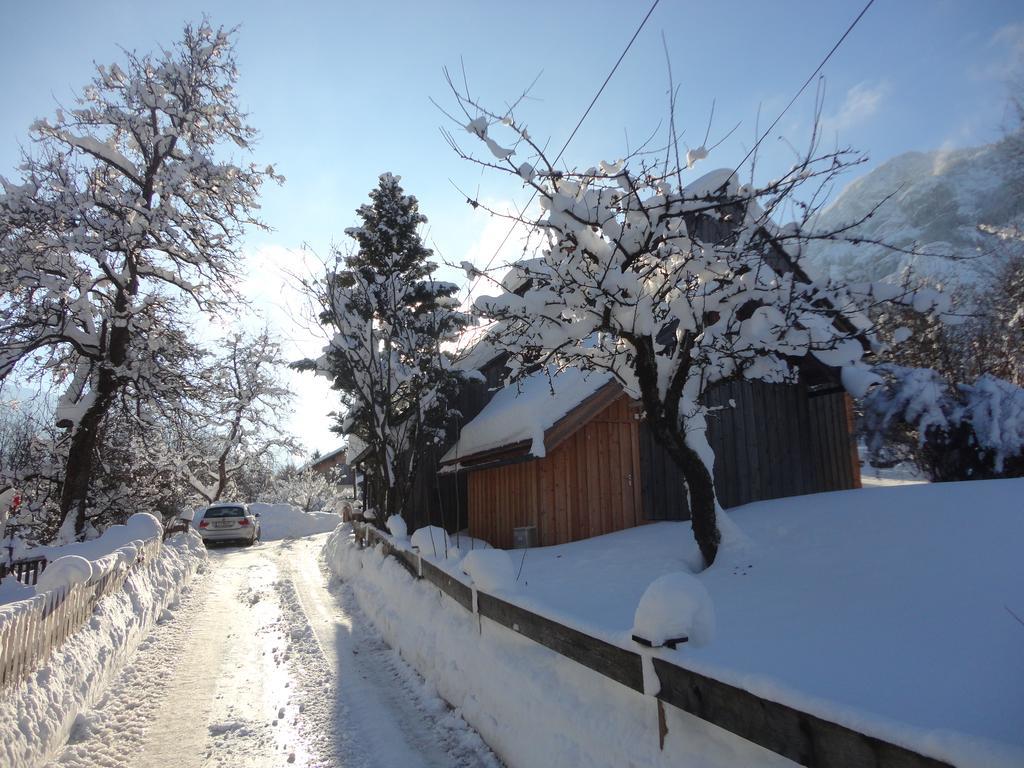 Chalet Ramsau 8 Bad Goisern Ngoại thất bức ảnh