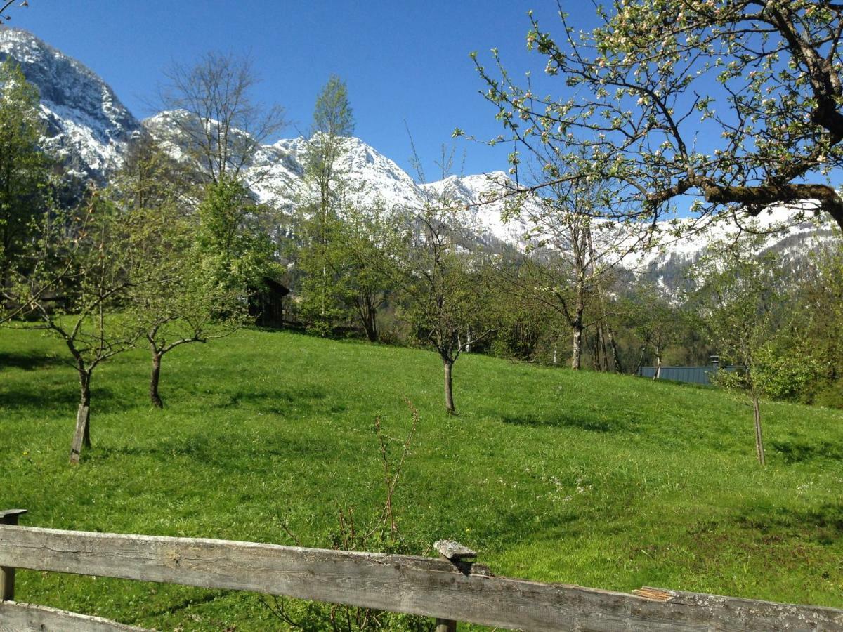 Chalet Ramsau 8 Bad Goisern Ngoại thất bức ảnh